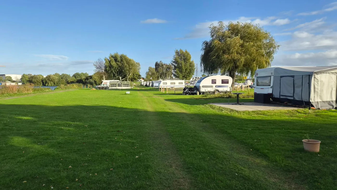 Freie Rasenfläche auf der Stellplatzwiese, am Rand stehen Wohnwagen mit Vorzelten unter einer Weide