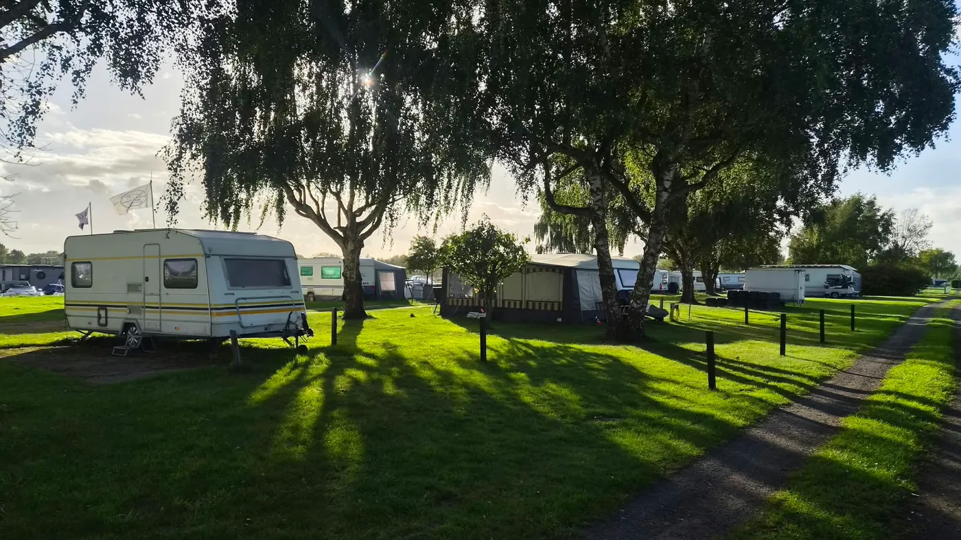 Wohnwagen mit Vorzelten unter Birken auf der Stellplatzwiese, die tiefe Abendsonne wirft lange Schatten über das Gras